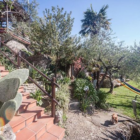 Bed and Breakfast La Fattoria Di Nonna Eugenia Lerici Exterior foto
